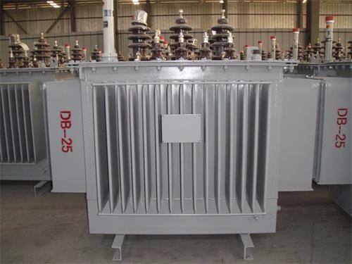 酒泉S13-100KVA/10KV/0.4KV油浸式变压器
