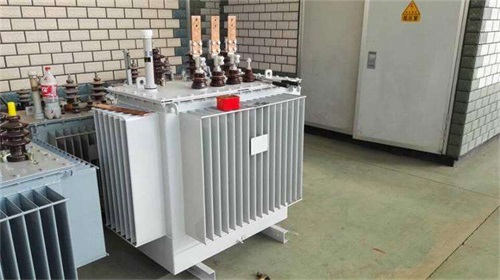 酒泉S11-100KVA/10KV/0.4KV油浸式变压器